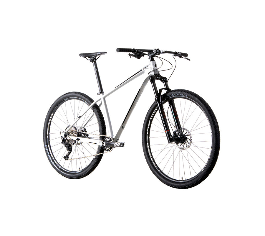 BELFORT Alom 2 29 Cross-Country Hardtail Mountain Bike