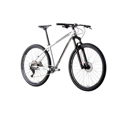 BELFORT Alom 2 29 Cross-Country Hardtail Mountain Bike