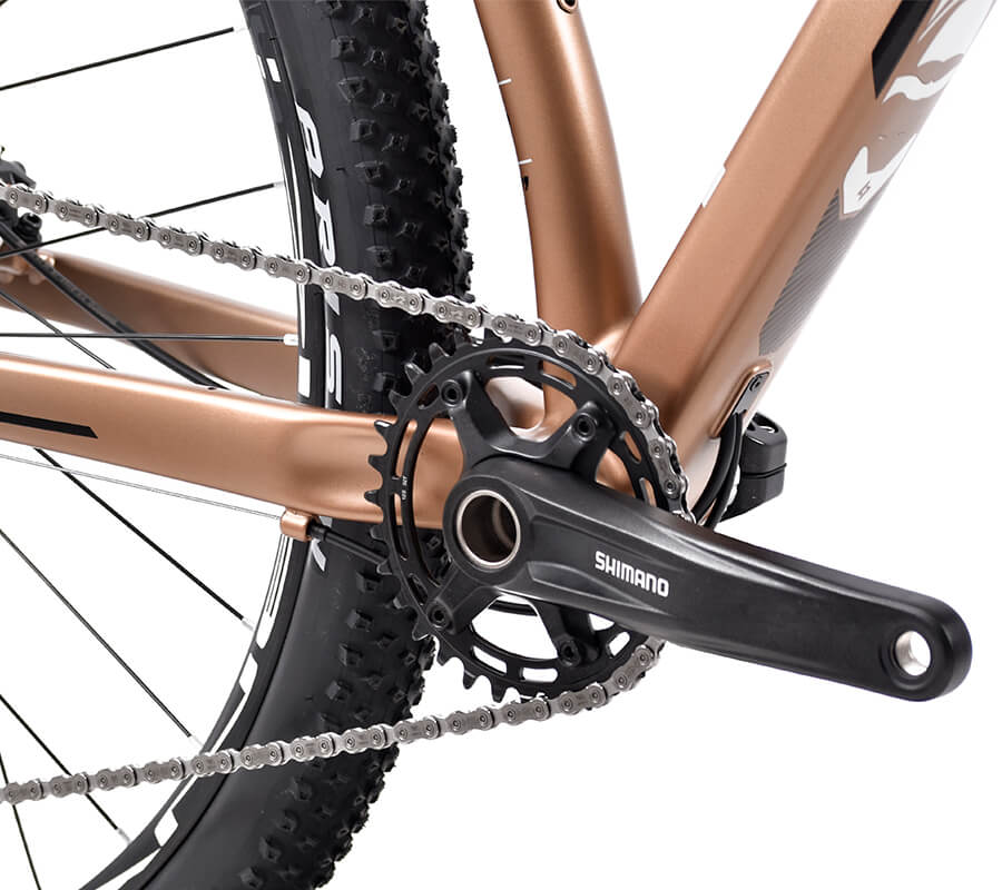 BELFORT Zamná 3 29 Cross-Country Hardtail Mountain Bike