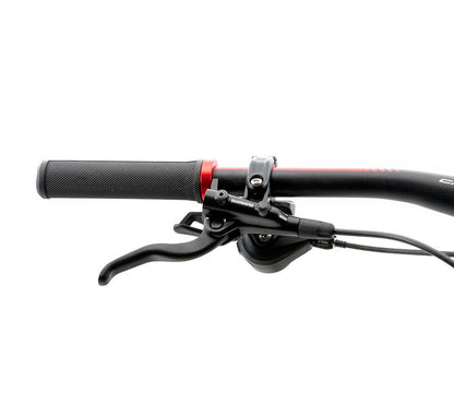 BELFORT Balam 6 29 Enduro Full-Suspension Mountain Bike