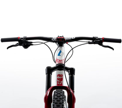 BELFORT Balam 6 29 Enduro Full-Suspension Mountain Bike