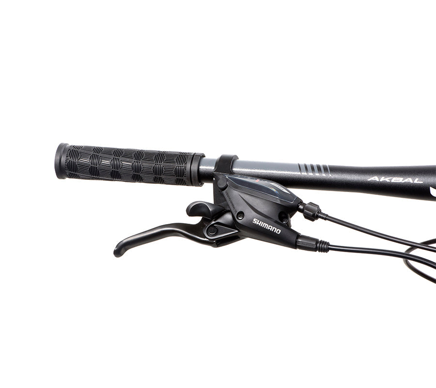 BELFORT Coatl 2 29 Hardtail Mountain Bike