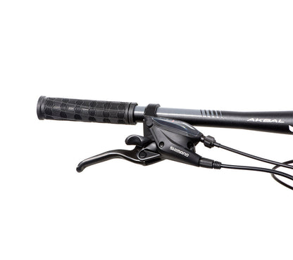 BELFORT Coatl 2 29 Hardtail Mountain Bike