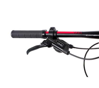 BELFORT Chaac 3 29 Cross Country Full-Suspension Mountain Bike