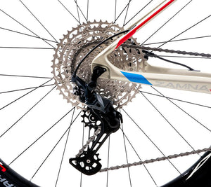 BELFORT Zamná Carbon 5 29 Cross-Country Hardtail Mountain Bike
