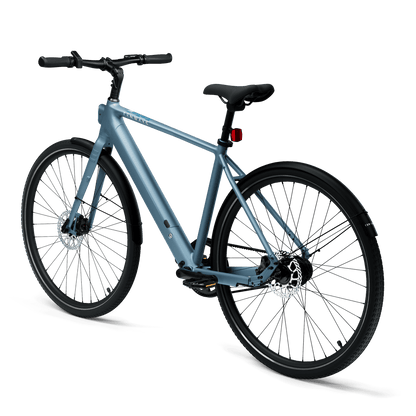 TENWAYS CGO600 Pro, Top Speed 20mph