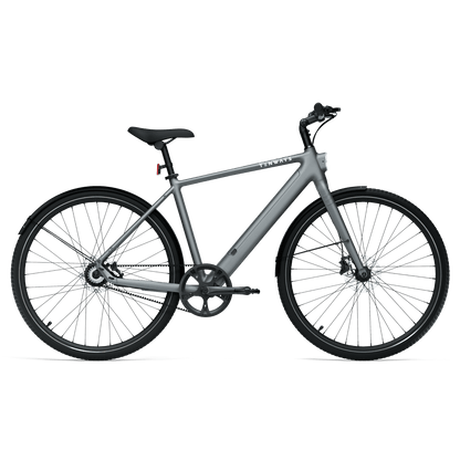 TENWAYS CGO600 Pro, Top Speed 20mph