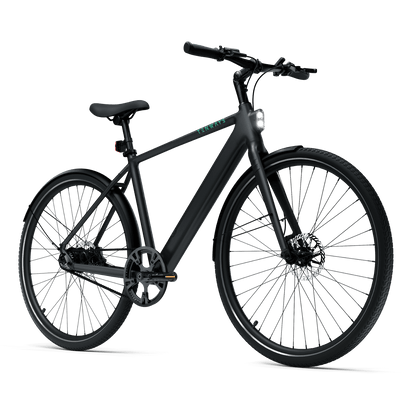 TENWAYS CGO600 Pro, Top Speed 20mph