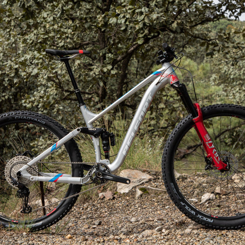 Belfort balam 2019 cheap