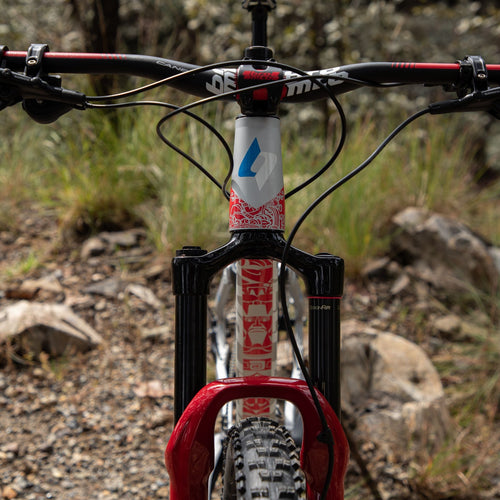Belfort balam 2020 sales