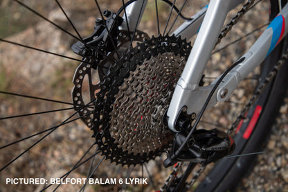 BELFORT Balam 3 29 Enduro Full-Suspension Mountain Bike