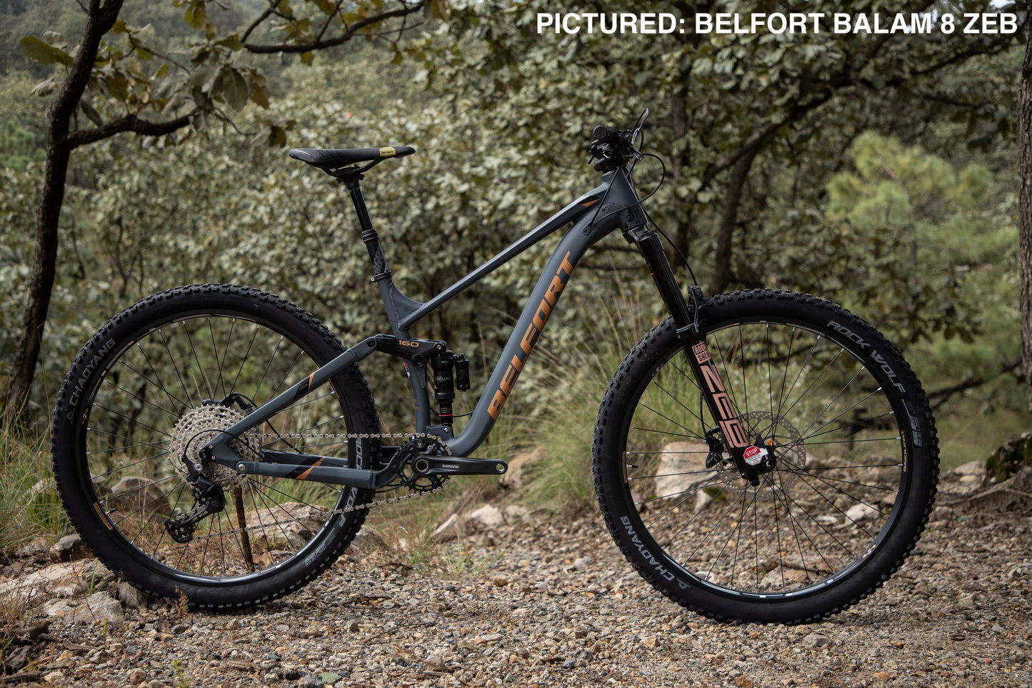 BELFORT Balam 3 29 Enduro Full-Suspension Mountain Bike