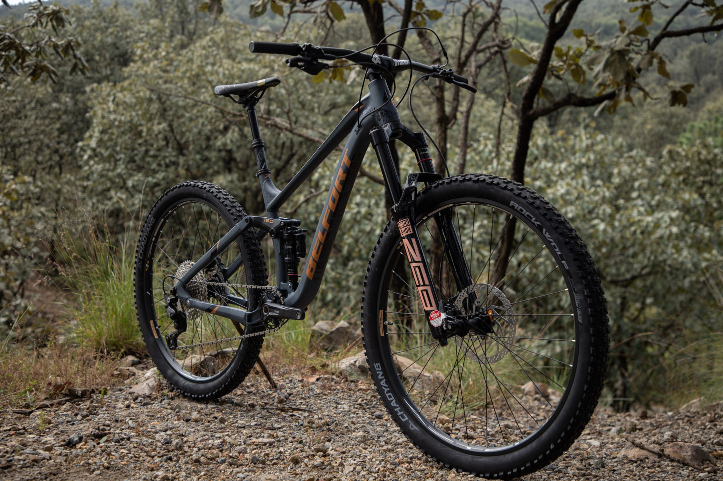 BELFORT Balam 4 29 Enduro Full-Suspension Mountain Bike