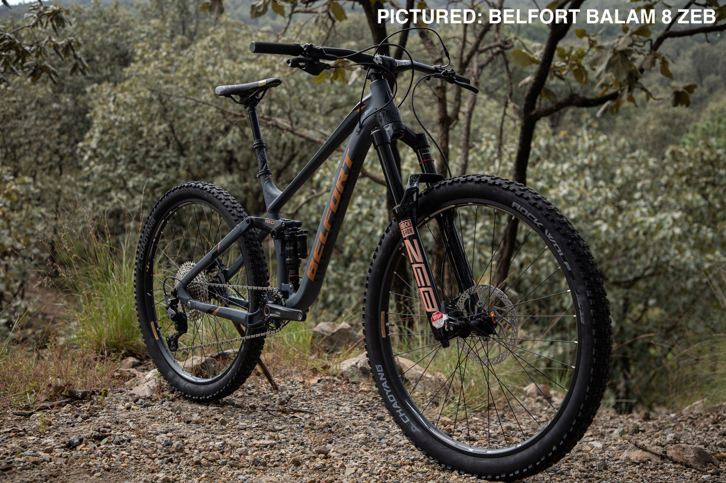 BELFORT Balam 3 29 Enduro Full-Suspension Mountain Bike