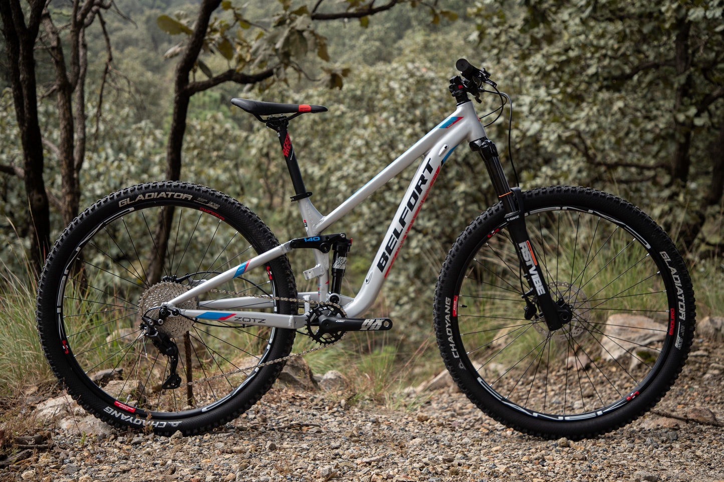 BELFORT Zotz 2 29 All-Mountain Full-Suspension Bike