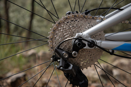 BELFORT Zotz 2 29 All-Mountain Full-Suspension Bike