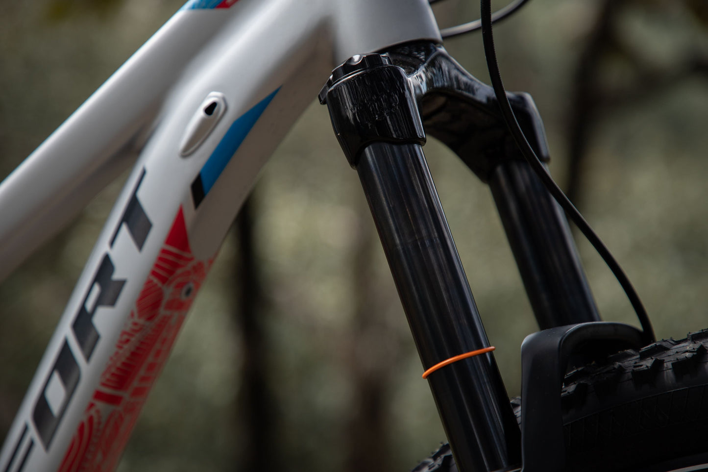 BELFORT Zotz 2 29 All-Mountain Full-Suspension Bike