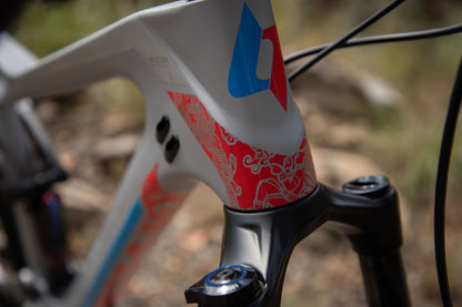 BELFORT Hunab Ku Carbon 2 Cross Country Full-Suspension Mountain Bike