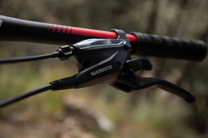 BELFORT Coatl 2 29 Hardtail Mountain Bike