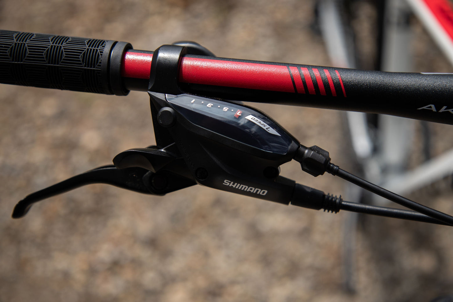 BELFORT Coatl 2 29 Hardtail Mountain Bike