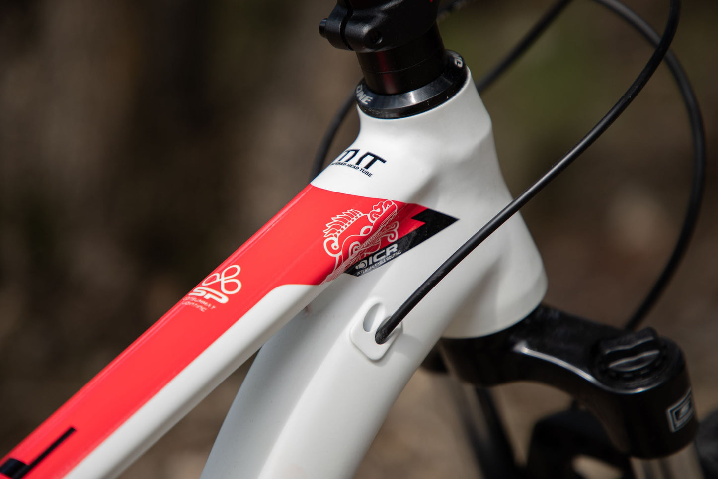 BELFORT Coatl 2 29 Hardtail Mountain Bike