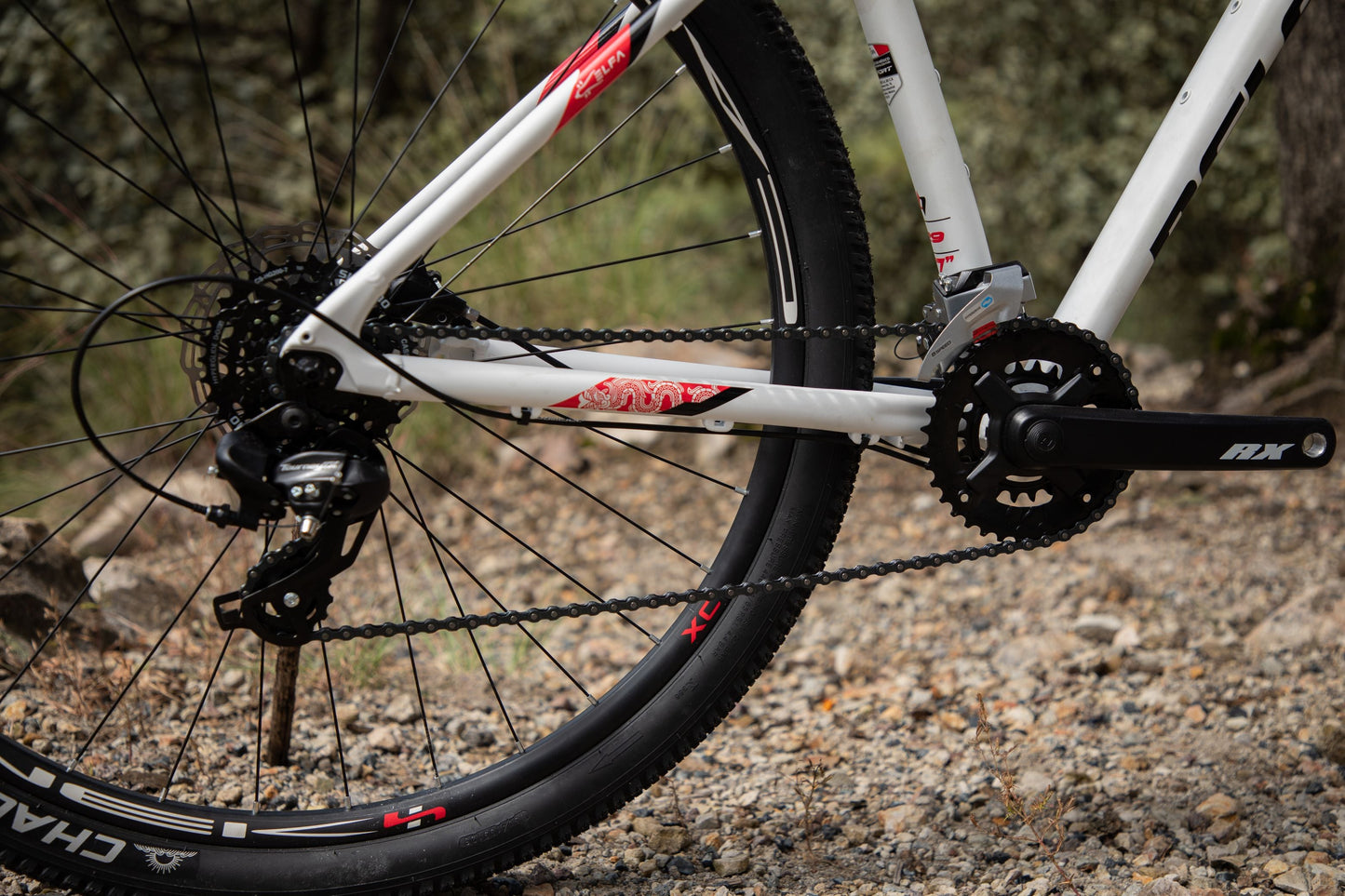 BELFORT Coatl 2 29 Hardtail Mountain Bike