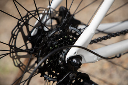 BELFORT Coatl 2 29 Hardtail Mountain Bike