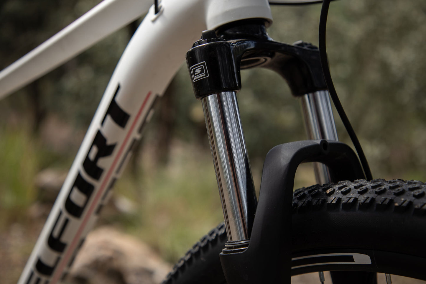 BELFORT Coatl 2 29 Hardtail Mountain Bike