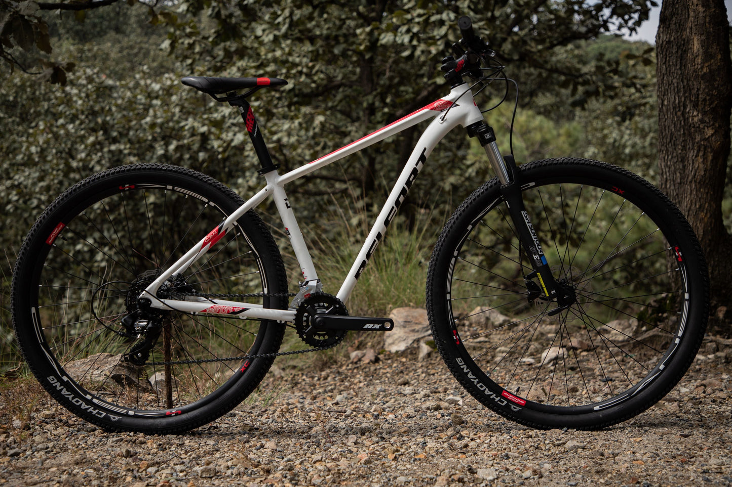 BELFORT Coatl 2 29 Hardtail Mountain Bike