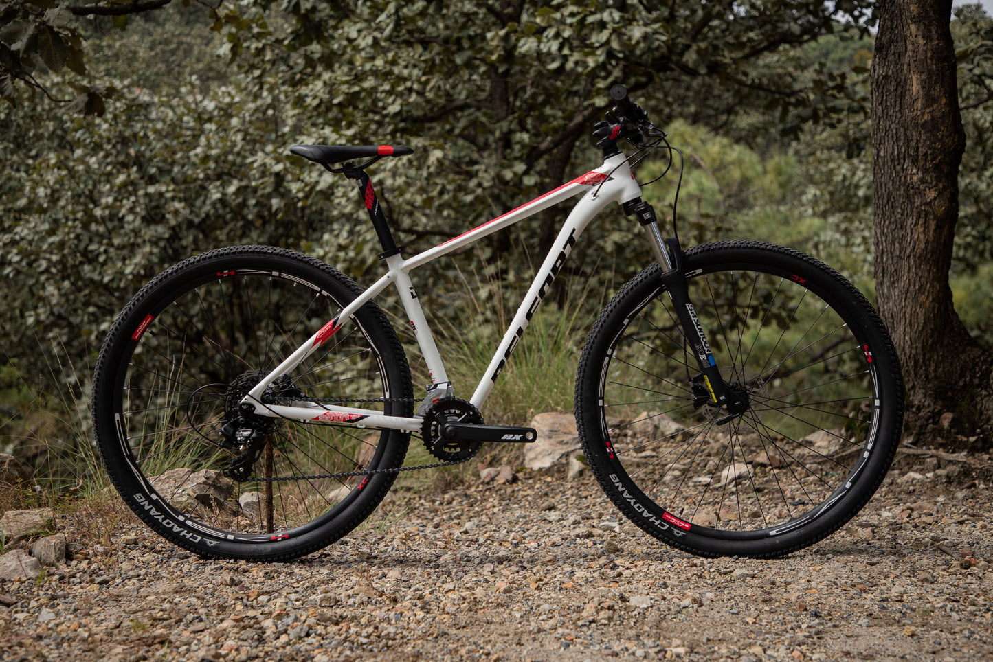 BELFORT Coatl 2 29 Hardtail Mountain Bike