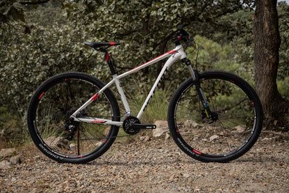 BELFORT Coatl 2 29 Hardtail Mountain Bike