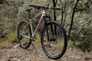 BELFORT Zamná Carbon 5 29 Cross-Country Hardtail Mountain Bike