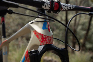 BELFORT Zamná Carbon 5 29 Cross-Country Hardtail Mountain Bike
