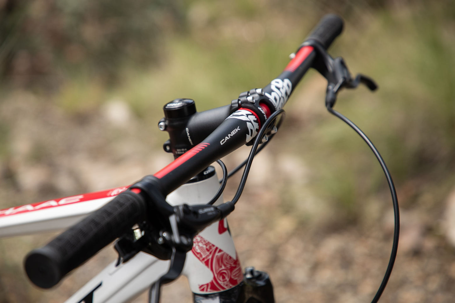 BELFORT Chaac 3 29 Cross Country Full-Suspension Mountain Bike