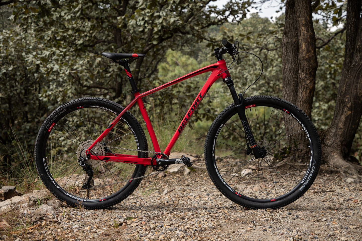 BELFORT Alom 2 29 Cross-Country Hardtail Mountain Bike