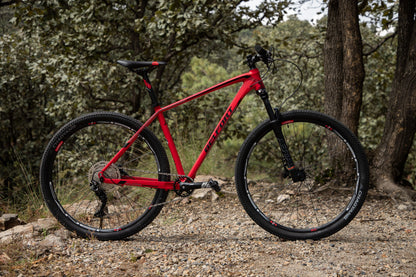 BELFORT Alom 2 29 Cross-Country Hardtail Mountain Bike