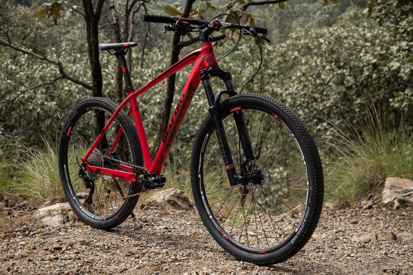 BELFORT Alom 2 29 Cross-Country Hardtail Mountain Bike