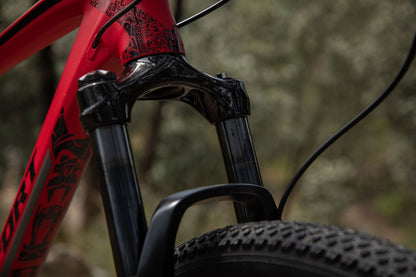 BELFORT Alom 2 29 Cross-Country Hardtail Mountain Bike