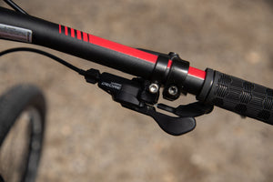 BELFORT Alom 3 29 Cross-Country Hardtail Mountain Bike