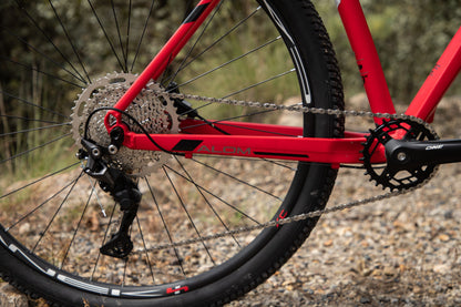 BELFORT Alom 2 29 Cross-Country Hardtail Mountain Bike