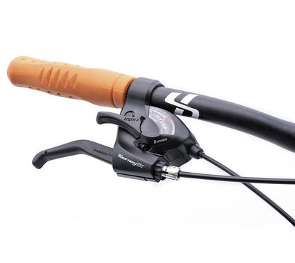 INDUSTRIES City Step-Thru Hybrid Bike - Casa Bikes