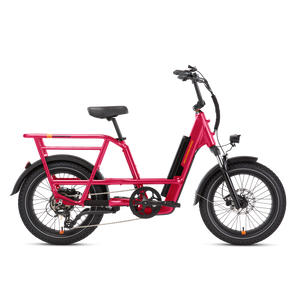 RadRunner™ 3 Plus Electric Utility Bike, Top Speed 20mph