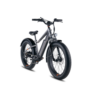RadRover™ 6 Plus Electric Fat Tire Bike, Top Speed 20mph