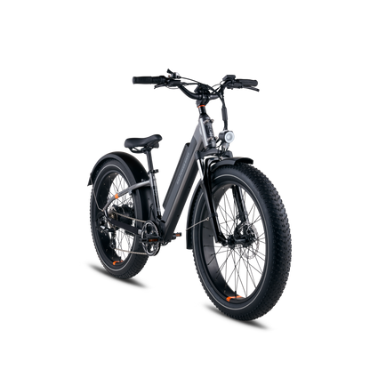 Rad Power RadRover™ 6 Plus Electric Fat Tire Bike, Top Speed 20mph