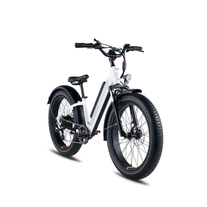 Rad Power RadRover™ 6 Plus Electric Fat Tire Bike, Top Speed 20mph