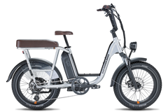 Radrunner plus electric utility bike sale