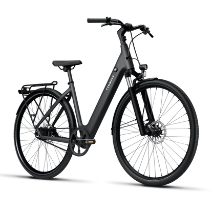 TENWAYS CGO800S, Top Speed 20mph