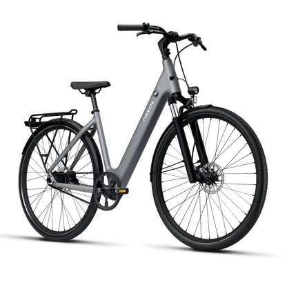 TENWAYS CGO800S, Top Speed 20mph