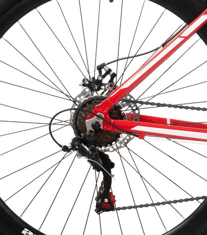 TURBO Deimos 29 Hardtail Mountain Bike - Casa Bikes